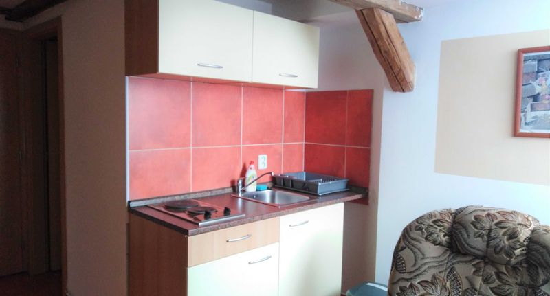 Pokoj se sprchou s vlastní kuchyňkou pro 3 os. - Penzion U dvojice Nové Město na Moravě, foto 1