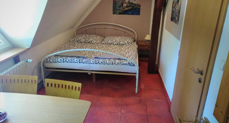 Pokoj se sprchou s vlastní kuchyňkou s manželskou postelí - Penzion U dvojice Nové Město na Moravě, foto 1