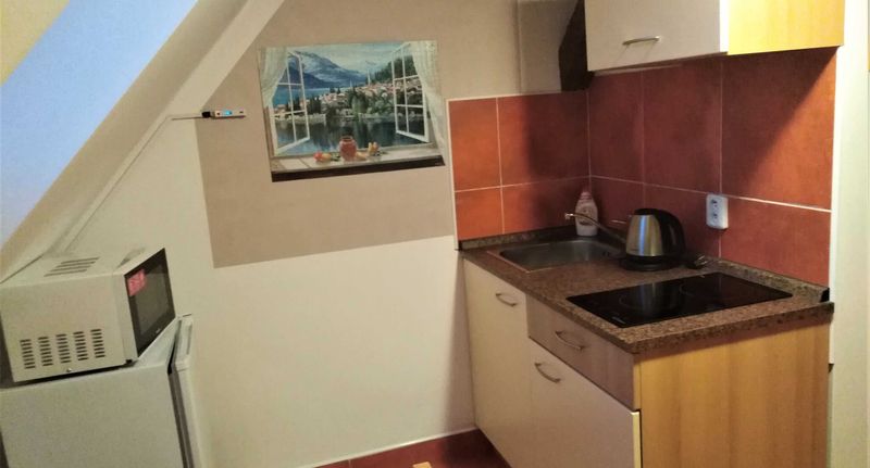 Pokoj se sprchou s vlastní kuchyňkou pro 3 os. (s možností přistýlky) - Penzion U dvojice Nové Město na Moravě, foto 1