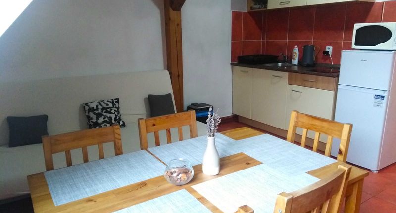 Pokoj se sprchou s vlastní kuchyňkou pro 5 os. (s možností přistýlky) - Penzion U dvojice Nové Město na Moravě, foto 1