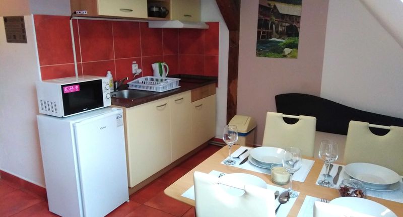 Pokoj se sprchou s vlastní kuchyňkou pro 4 os. - Penzion U dvojice Nové Město na Moravě, foto 8