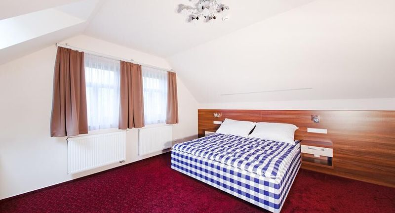Standard Pokoj se sprchou s manželskou postelí - Černá Louže Branžež, foto 1