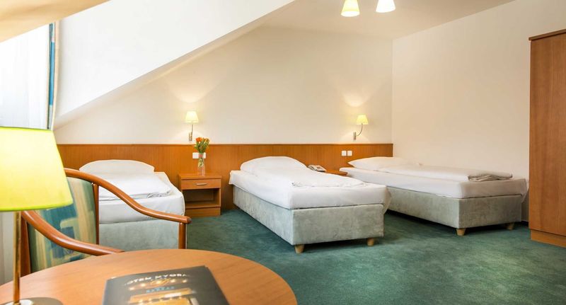 Pokoj se sprchou pro 3 os. - HOTEL DVOŘÁK České Budějovice, foto 1