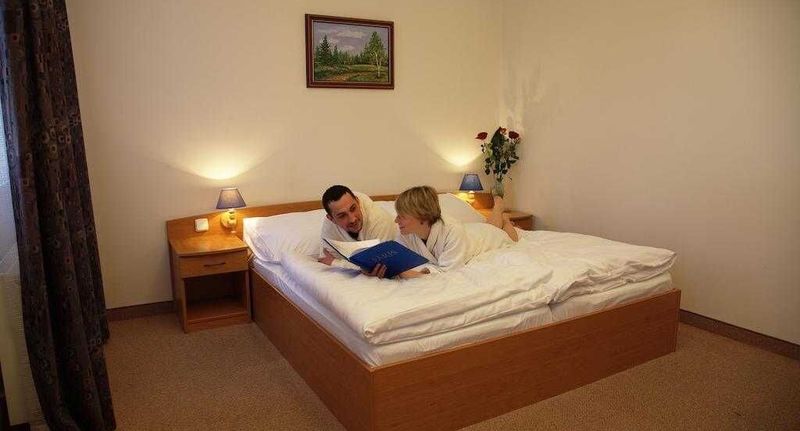Komfort Pokoj pro 2 os. s výhledem do dvora - Hotel Paris Mariánské Lázně, foto 1