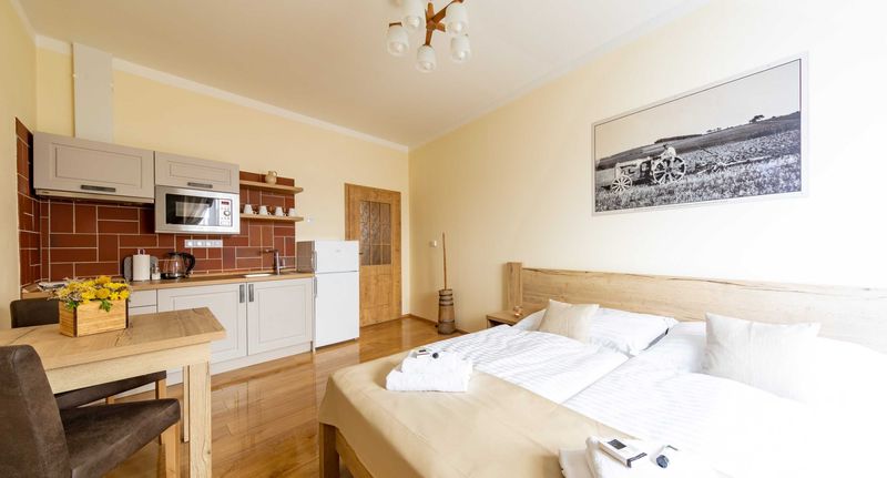 Apartman se sprchou s manželskou postelí s 1 ložnicí - Residence Tvrz Skočice, foto 1