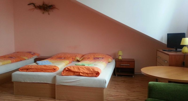 Pokoj se sprchou se společnou kuchyňkou pro 3 os. - Privát Bohemia Šatov, foto 8