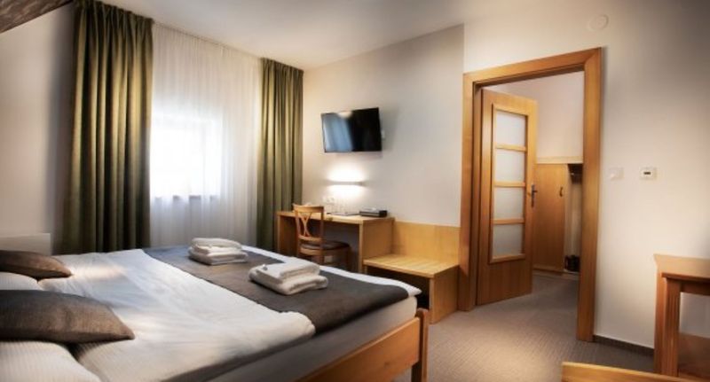 Pokoj s klimatizací se sprchou s manželskou postelí (s možností přistýlky) - HOTEL KRAVÍ HORA Bořetice, foto 3