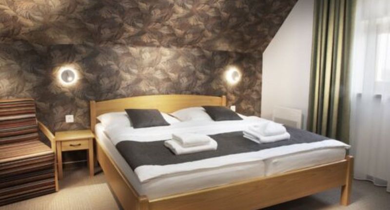 Pokoj s klimatizací s vanou s manželskou postelí (s možností přistýlky) - HOTEL KRAVÍ HORA Bořetice, foto 1