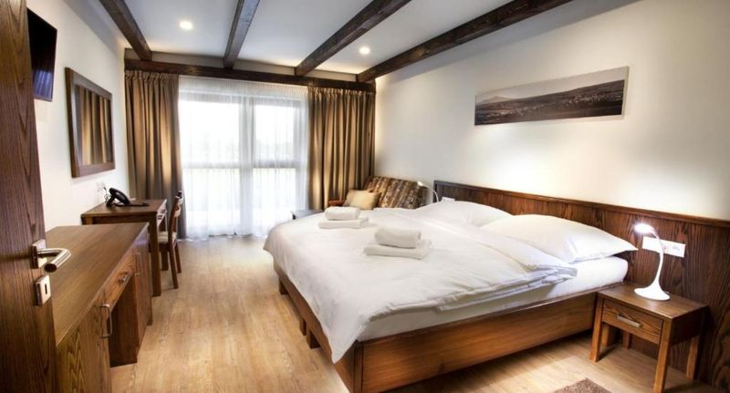Pokoj s klimatizací se sprchou s manželskou postelí (s možností přistýlky) - HOTEL KRAVÍ HORA Bořetice, foto 5