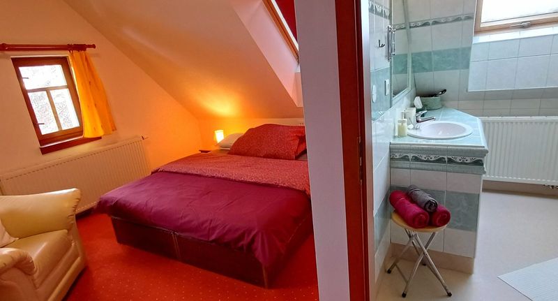 Pokoj tV s plochou obrazovkou se sprchou s manželskou postelí (s možností přistýlky) - Hotel TTC, foto 1