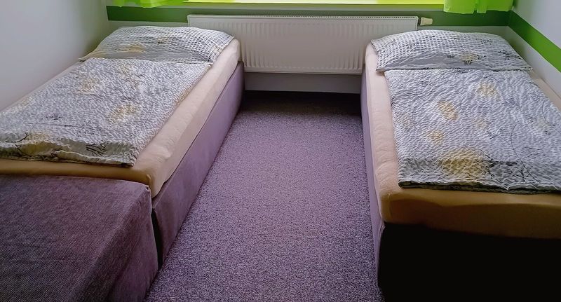 Twin Pokoj se sprchou pro 3 os. - Barleyhotel Praha, foto 1