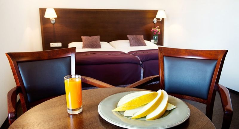 Pokoj pro 1 os. - Hotel FARMA Pelhřimov, foto 1