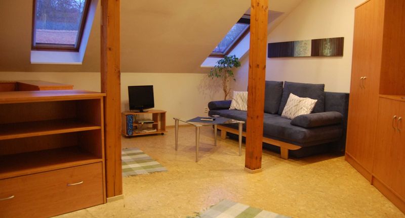 Apartman se sprchou s vlastní kuchyňkou pro 3 os. s 1 ložnicí (s možností přistýlky) - Apartmány U starého Labe Nymburk, foto 1