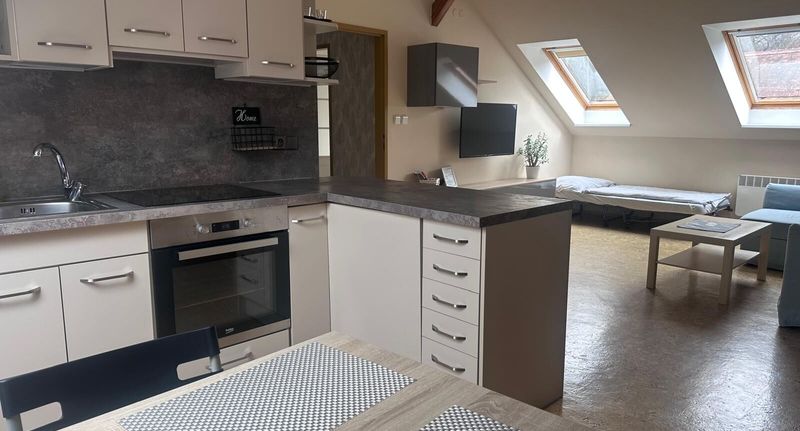 Superior Apartman se sprchou pro 3 os. (s možností přistýlky) - Apartmány U starého Labe Nymburk, foto 1