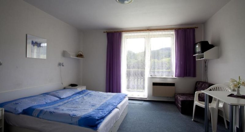 Pokoj s balkónem se sprchou pro 2 os. (s možností přistýlky) - Penzion Vaněk Velké Losiny, foto 1