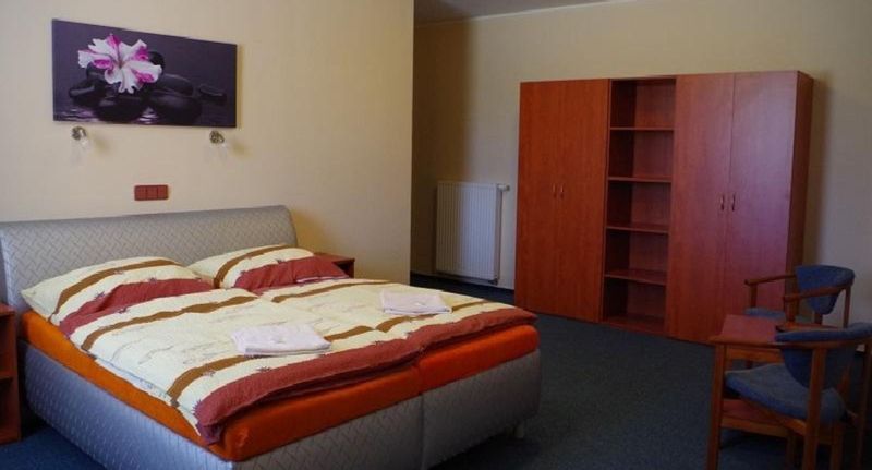 Pokoj se sprchou s manželskou postelí - SPORTHOTEL RELAX Veletov, foto 1