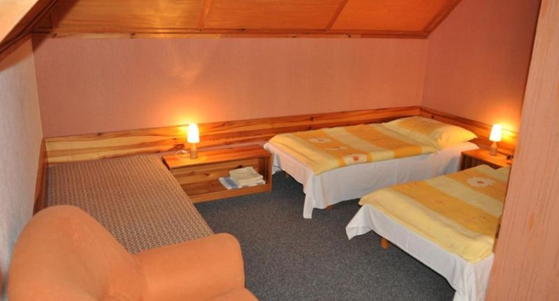 Pokoj se sprchou pro 3 os. - Pension Nostalgie Beroun, foto 1