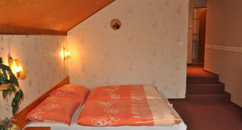 Pokoj se sprchou pro 2 os. - Pension Nostalgie Beroun, foto 1