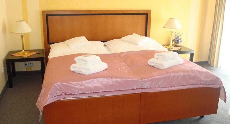 Apartman se sprchou s vlastní kuchyňkou s manželskou postelí s 1 ložnicí (s možností přistýlky) - Apartmány Český Dvůr Mariánské Lázně, foto 1