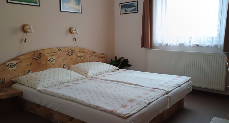 Pokoj tV s plochou obrazovkou se zahradou s manželskou postelí - Penzion Lido Mariánské Lázně, foto 1