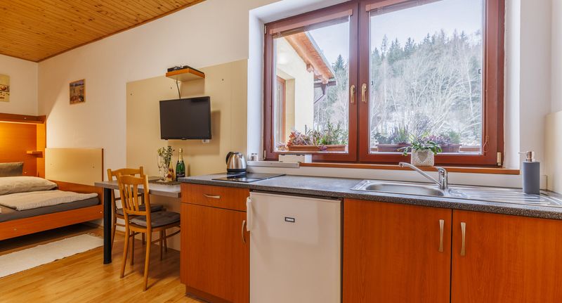 Apartman s vlastní kuchyňkou s manželskou postelí s 1 ložnicí - Apartmány Novákovi Dolní Morava, foto 1