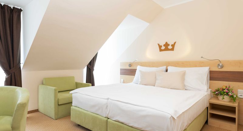 Superior Pokoj se sprchou pro 2 os. - Hotel Česká koruna Děčín, foto 1