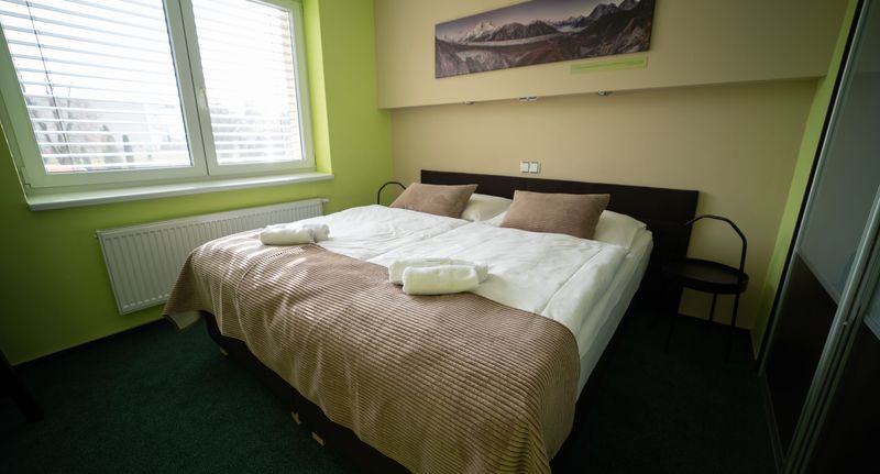 Pokoj se sprchou s manželskou postelí - Garni Hotel Svitavy, foto 1
