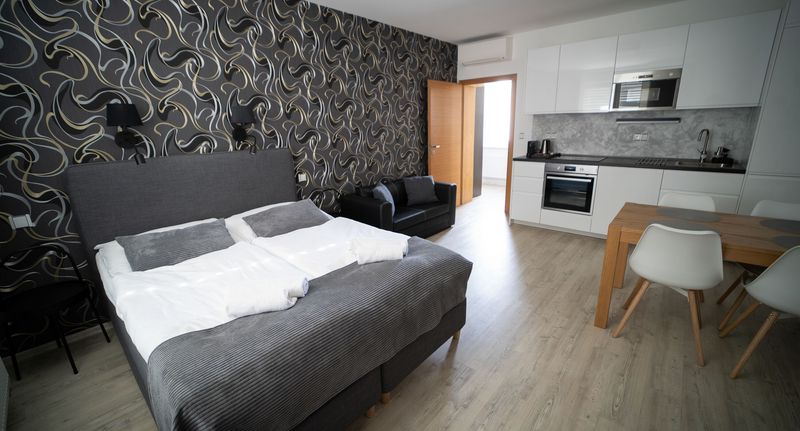 Apartman se sprchou s vlastní kuchyňkou s manželskou postelí s 1 ložnicí (s možností přistýlky) - Garni Hotel Svitavy, foto 1
