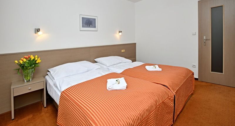 Pokoj se sprchou pro 2 os. - LH Parkhotel Congress & Wellness Hluboká nad Vltavou, foto 1