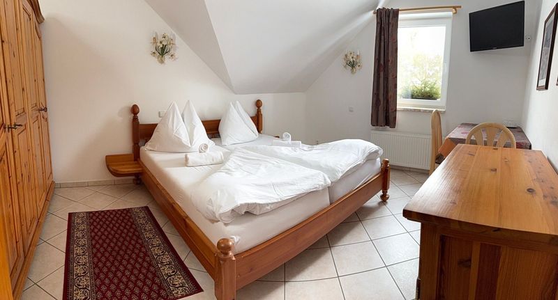 Standard Pokoj se sprchou s manželskou postelí - Hotel a Pension SEEBERG Františkovy Lázně, foto 1