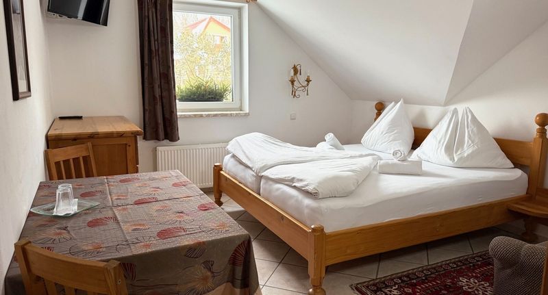 Standard Pokoj se sprchou s manželskou postelí (s možností přistýlky) - Hotel a Pension SEEBERG Františkovy Lázně, foto 1