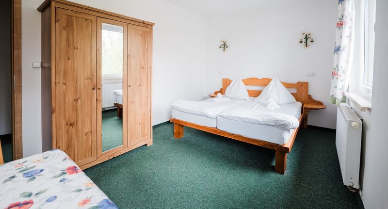 Turistický Pokoj se sprchou s manželskou postelí (s možností přistýlky) - Hotel a Pension SEEBERG Františkovy Lázně, foto 1