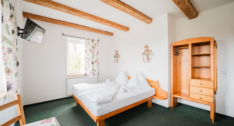 Turistický Pokoj se sprchou s manželskou postelí - Hotel a Pension SEEBERG Františkovy Lázně, foto 1