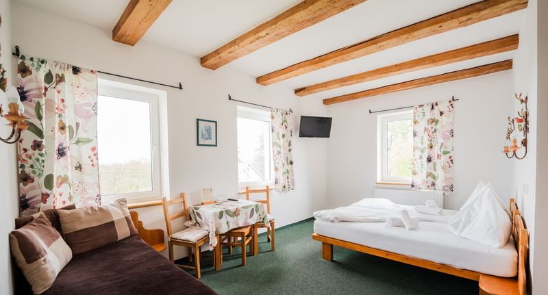 Turistický Pokoj se sprchou s manželskou postelí (s možností přistýlky) - Hotel a Pension SEEBERG Františkovy Lázně, foto 4