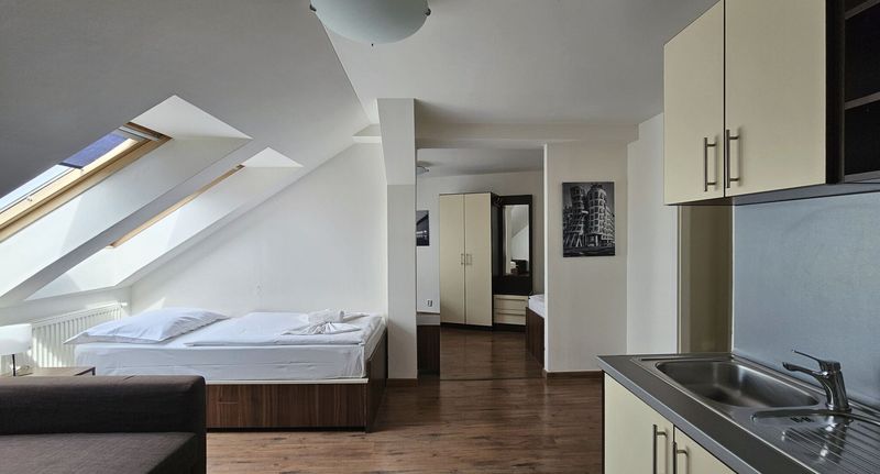 Pokoj se sprchou pro 4 os. v podkroví - Residence Vysta Praha, foto 1