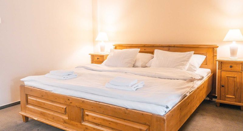 Pokoj se sprchou s manželskou postelí (s možností přistýlky) - Hotel Leopold Račín, foto 1