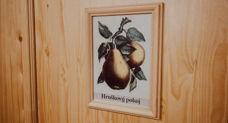 Pokoj s koupelnou se sprchou pro 3 os. - Penzion Brusinka Mochtín, foto 1