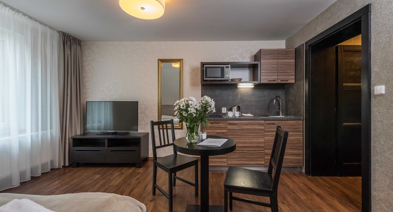 Pokoj se sprchou s vlastní kuchyňkou pro 2 os. - Apartmány 294 Bedřichov, foto 1