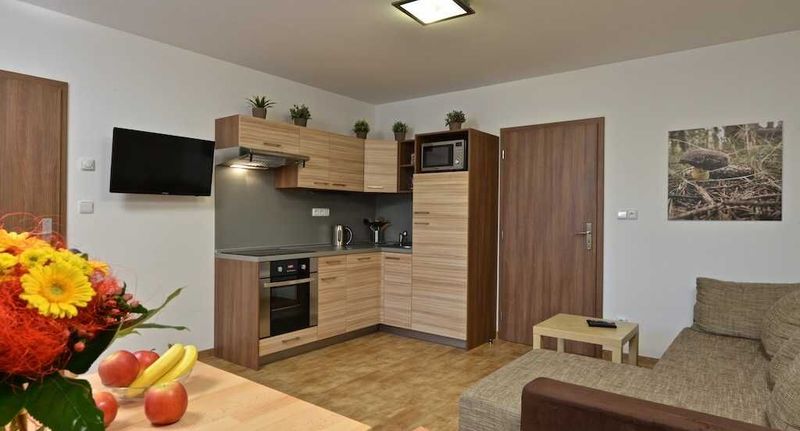 Apartman se sprchou s vlastní kuchyňkou pro 4 os. (s možností přistýlky) - Apartmány 294 Bedřichov, foto 10