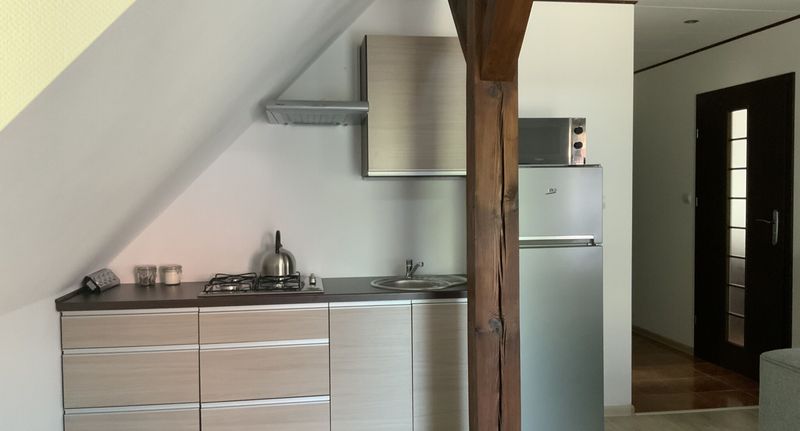 Apartman pro 6 os. se 3 ložnicemi s výhledem na les s výhledem na jezero - Apartamenty pokoje domki Dolina Bielika - Barlinek, foto 17