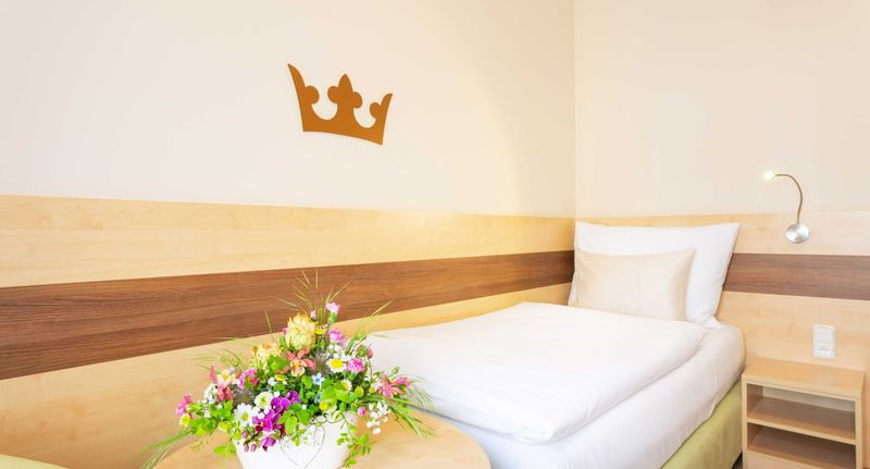 Superior Pokoj se sprchou pro 1 os. - Hotel Česká koruna Děčín, foto 1