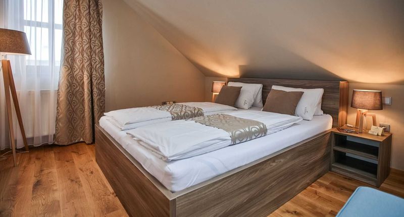 Deluxe Pokoj se sprchou s manželskou postelí (s možností přistýlky) - Pension Hardy Valtice, foto 1