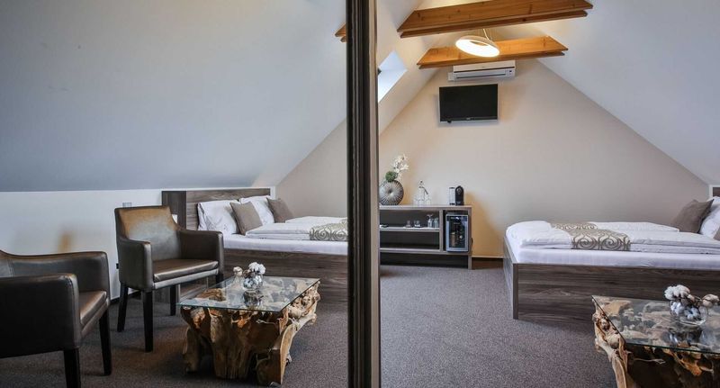 Pokoj s klimatizací se sprchou pro 3 os. - Pension Hardy Valtice, foto 1