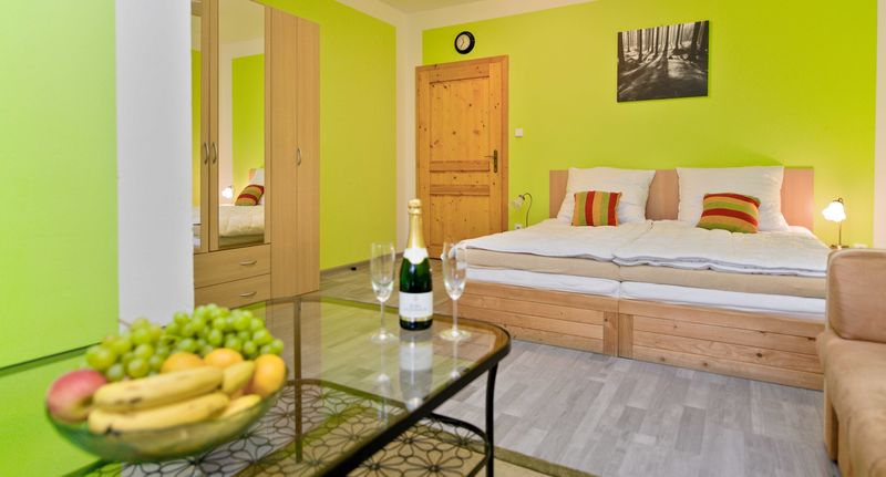 Standard Pokoj se sprchou s manželskou postelí (s možností přistýlky) - Wellness penzion EVA + Apartmány Pod Čerťákem Dolní Moravice, foto 1