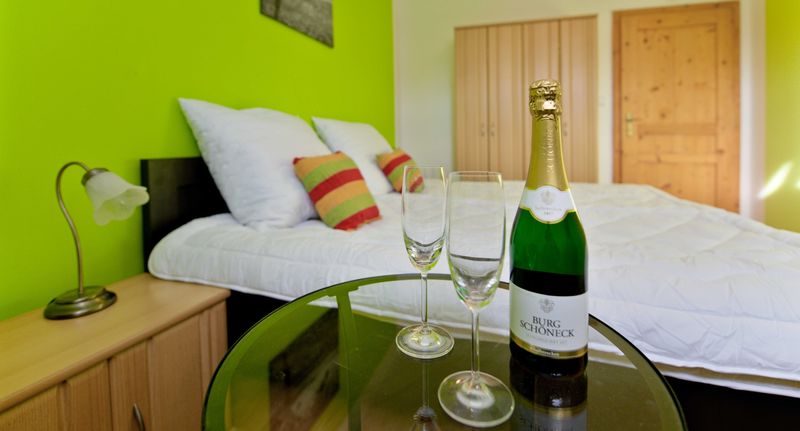 Deluxe Pokoj se sprchou s manželskou postelí - Wellness penzion EVA + Apartmány Pod Čerťákem Dolní Moravice, foto 1