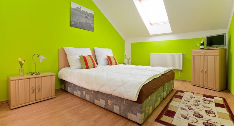Standard Pokoj se sprchou s manželskou postelí - Wellness penzion EVA + Apartmány Pod Čerťákem Dolní Moravice, foto 4
