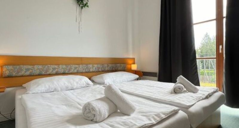Apartman se sprchou s manželskou postelí s 1 ložnicí - Hotel SLOUP Řípec, foto 1
