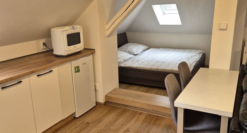 Superior Apartman se sprchou s manželskou postelí s 1 ložnicí (s možností přistýlky) - Apartmány Les Zlín, foto 1