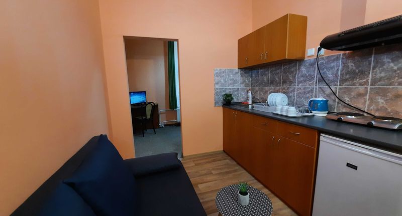 Pokoj se sprchou s vlastní kuchyňkou pro 6 os. - Pension City Center Praha, foto 1