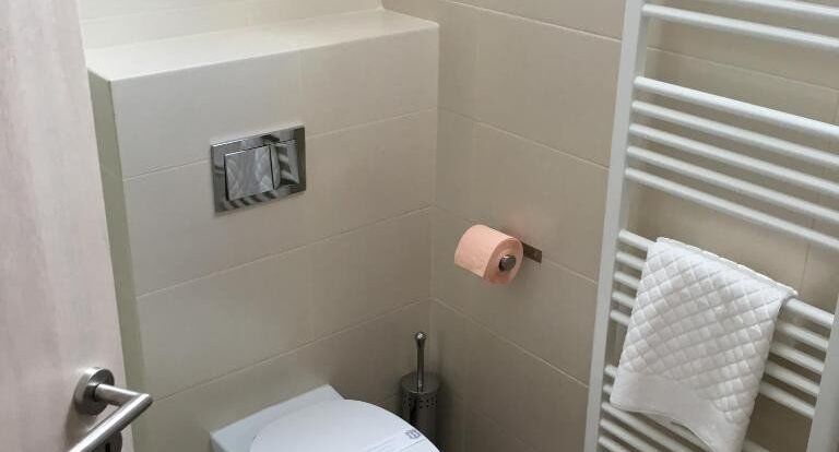 Pokoj s balkónem s koupelnou s manželskou postelí (s možností přistýlky) - Pensiunea Amso Residence Sibiu, foto 1